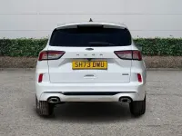 Used Ford Kuga ST-Line 190 HP (139 kW) 2023 White SUV