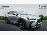Used Lexus NX350h 2024 Silver Estate