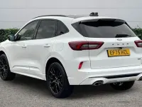 Used Ford Kuga ST-Line X 242 HP (177 kW) 2025 White SUV