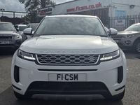 Used Land Rover Range Rover evoque S 150 HP (110 kW) 2020 White SUV