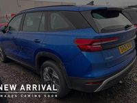 Used Skoda Kodiaq SE 147 HP (108 kW) 2025 Race blue metallic SUV