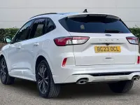 Used Ford Kuga ST-Line X 150 HP (110 kW) 2023 White SUV