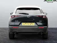 Used Mazda CX-30 Homura-Line 140 HP (102 kW) 2025 Blue SUV