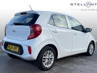 Used Kia Picanto 67 HP (49 kW) 2024 White Hatchback