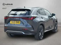 Used Lexus NX350h Sport Line 197 HP (144 kW) 2026 Grey Estate