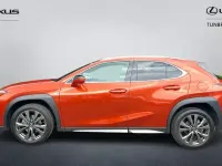 Used Lexus UX 250h Sport Design Packet 184 HP (135 kW) 2024 SUV