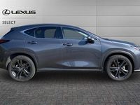 Used Lexus NX350h 243 HP (178 kW) 2025 Grey SUV