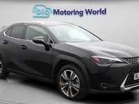 Used Lexus UX 150 kW (204 HP) 2024 SUV