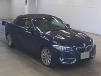 Used BMW 220 Luxury Line 2016 Blue Cabriolet