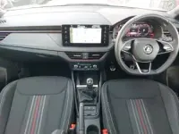 Used Skoda Kamiq Monte Carlo 116 HP (85 kW) 2024 Silver SUV