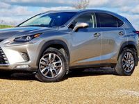 Used Lexus NX300h Luxury Line 197 HP (144 kW) 2018 SUV