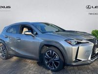 Used Lexus UX 250h 184 HP (135 kW) 2024 SUV