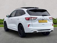 Used Ford Kuga 2023 White SUV
