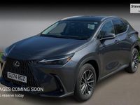Used Lexus NX450h+ 2024 Grey SUV