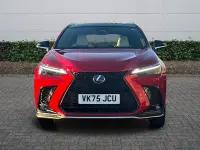 Used Lexus NX350h Sport Line 2025 Red SUV