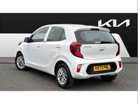 Used Kia Picanto 65 HP (47 kW) 2024 White Hatchback