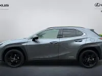Usado Lexus UX 250h 184 CV (135 kW) 2024 SUV