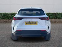 New Lexus NX350h 2026 Estate