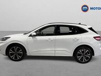 Used Ford Kuga ST-Line X 150 HP (110 kW) 2023 White SUV