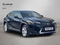 Used Lexus UX 300h 2025 Black SUV