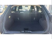 Used Ford Puma Titanium 125 HP (91 kW) 2024 Grey SUV