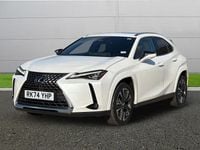 Used Lexus UX 300h 2024 White SUV