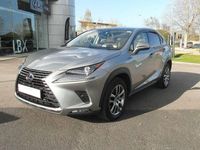 Used Lexus NX300h 194 HP (142 kW) 2019 Silver SUV