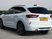 New Ford Kuga ST-Line 242 HP (177 kW) 2026 White SUV