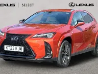 Used Lexus UX Sport Line 184 HP (135 kW) 2023 Blazing carnelian SUV