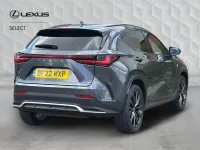 Used Lexus NX350h Sport Line 2022 Grey Estate