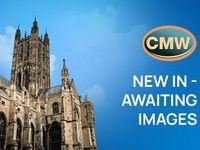 Used Mercedes E300 AMG Line Premium 300 HP (220 kW) 2019 Silver Estate