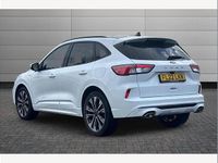 Used Ford Kuga ST-Line X 150 HP (110 kW) 2022 White SUV