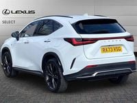 Used Lexus NX350h Sport Line 242 HP (177 kW) 2024 White SUV