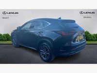 Used Lexus NX450h+ 2023 Black SUV