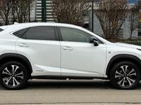 Used Lexus NX300h Sport Line 197 HP (144 kW) 2019 White SUV