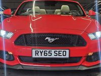 Used Ford Mustang GT Convertible 416 HP (305 kW) 2016 Red Cabriolet