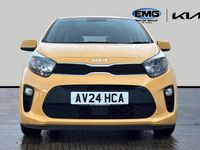 Used Kia Picanto 66 HP (48 kW) 2024 Yellow Hatchback