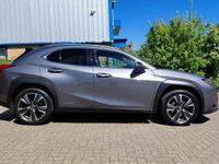 Used Lexus UX 250h 180 HP (132 kW) 2020 Grey SUV