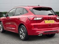 Used Ford Kuga ST-Line 150 HP (110 kW) 2023 Red SUV