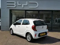 Used Kia Picanto 66 HP (48 kW) 2020 White Hatchback