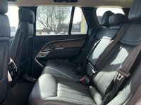 Used Land Rover Range Rover SE 440 HP (323 kW) 2023 Grey SUV