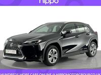 Usado Lexus UX 300e 150 kW (204 HP) 2023 SUV