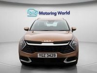 Used Kia Sportage 150 HP (110 kW) 2023 SUV