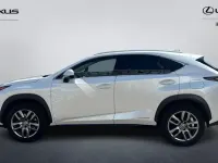 Used Lexus NX300h Luxury Line 197 HP (144 kW) 2017 SUV