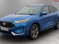 Used Ford Kuga ST-Line 242 HP (177 kW) 2025 SUV