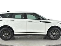 Used Land Rover Range Rover evoque S 163 HP (119 kW) 2024 White Estate