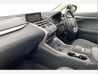 Used Lexus NX300h Sport Line 197 HP (144 kW) 2021 Grey SUV