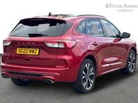 Used Ford Kuga ST-Line X 187 HP (137 kW) 2022 Red SUV