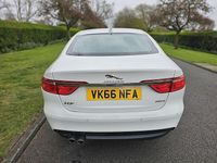 Used Jaguar XF Prestige 180 HP (132 kW) 2016 White Sedan