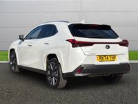 Usado Lexus UX 2024 Branco SUV